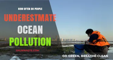 Ocean Pollution: The Underestimated Crisis