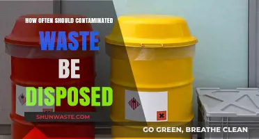 Safe Disposal Frequency for Contaminated Waste: Essential Guidelines