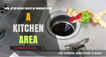 Optimal Kitchen Waste Removal Frequency for Hygiene and Efficiency