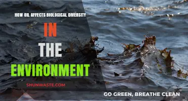 Oil's Impact on Ecosystems: Understanding Threats to Biological Diversity