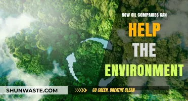 Green Energy Transition: How Oil Companies Can Drive Environmental Change
