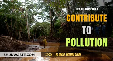Oil Companies: Major Culprits of Pollution