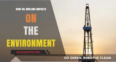 Environmental Consequences of Oil Drilling: A Comprehensive Analysis