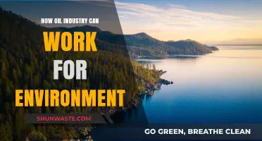 Sustainable Oil: How the Industry Can Protect Our Environment