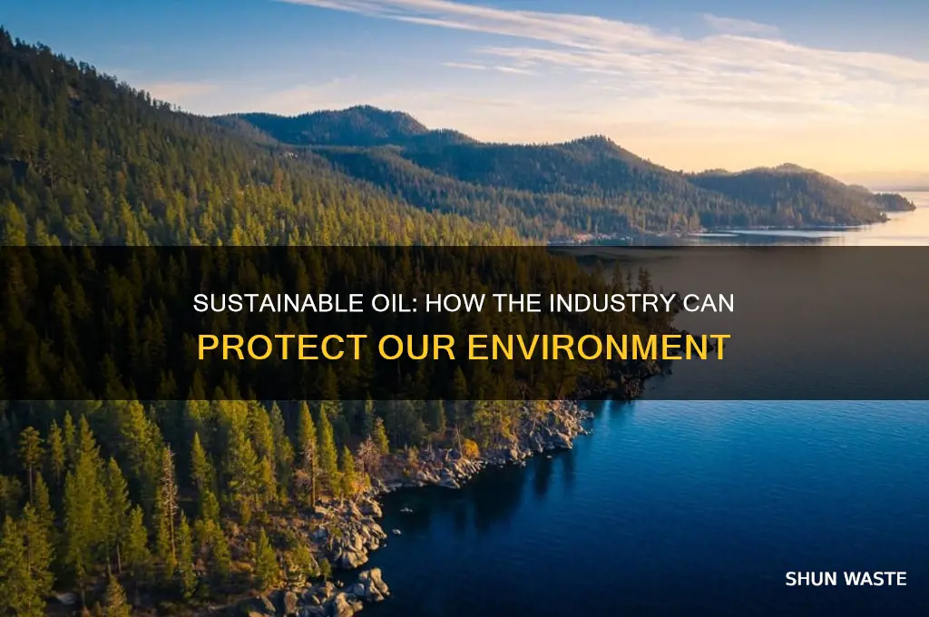 how oil industry can work for environment