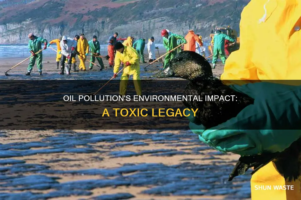 how oil pollution affects the environment