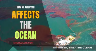 Ocean's Bane: Oil Spill's Impact and Devastation