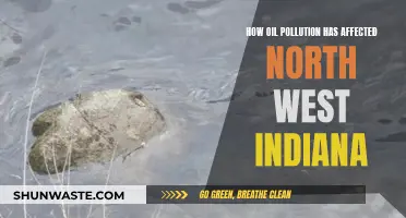 Oil Pollution's Impact on Northwest Indiana's Environment