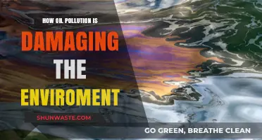 Oil Pollution: Damaging Our Environment, Our Future