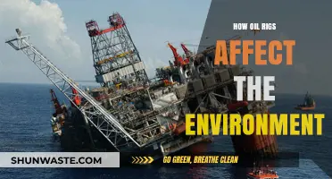 Oil Rigs' Environmental Impact: Pollution, Wildlife, and Ecosystem Disruption