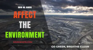 Oil Sands' Environmental Impact: Pollution, Wildlife, and Climate Change Concerns