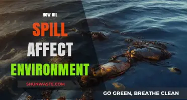 Devastating Impacts: How Oil Spills Destroy Ecosystems and Wildlife