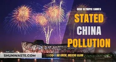 China's Pollution Legacy: Olympic Games Impact