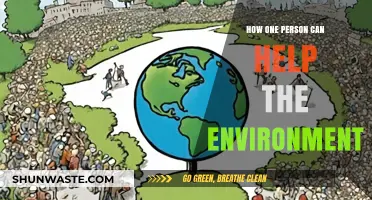 Empowering Change: Simple Steps for Individual Environmental Impact