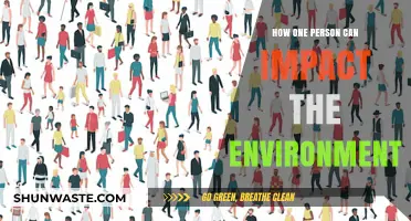 One Person's Power: Transforming Our Environment Through Individual Actions