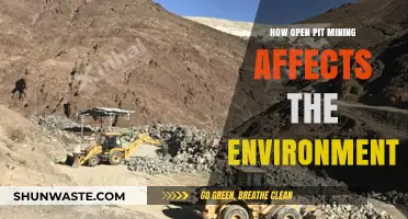 Open Pit Mining's Environmental Impact: Destruction, Pollution, and Ecosystem Loss