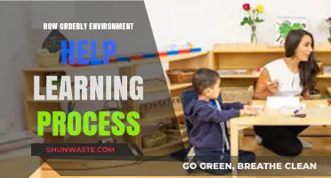 Organized Spaces, Focused Minds: How Orderly Environments Enhance Learning