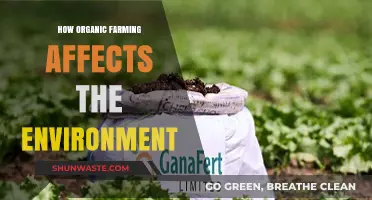 Organic Farming's Environmental Impact: Sustainable Practices for a Greener Future