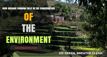 Organic Farming: A Sustainable Path to Environmental Conservation