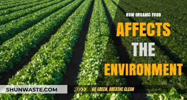 Organic Food's Environmental Impact: Benefits, Challenges, and Sustainable Choices