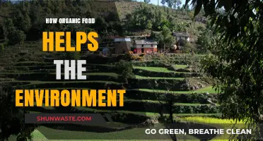 Organic Food's Environmental Impact: Sustainable Farming for a Greener Planet