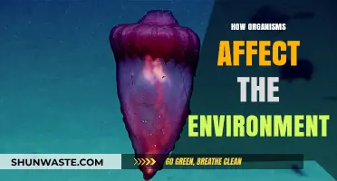 Organisms' Impact: Shaping Ecosystems and Environmental Dynamics Explained