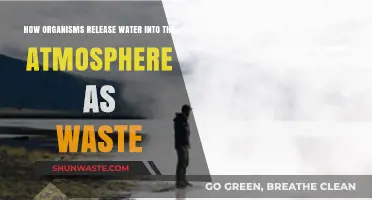 Organisms' Water Waste: Atmospheric Release Explained