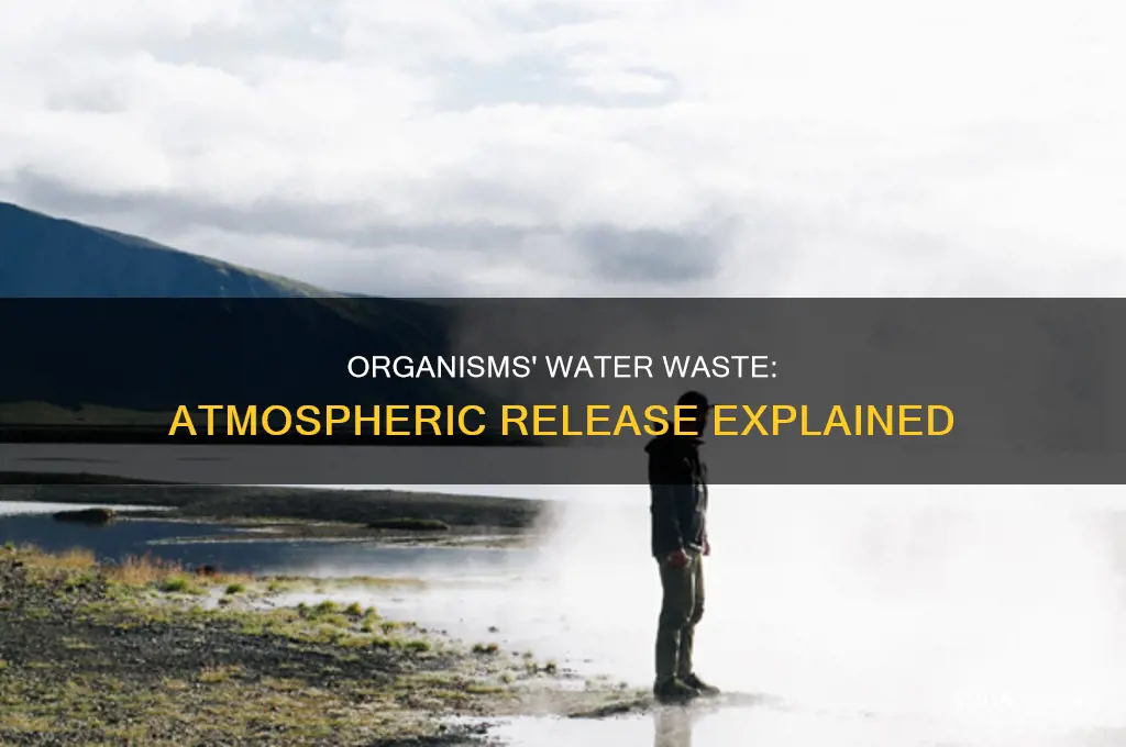 how organisms release water into the atmosphere as waste