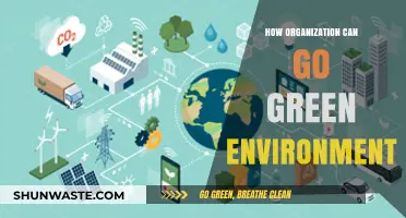 Sustainable Strategies: How Organizations Can Embrace a Green Environment