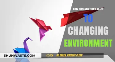 Navigating Change: Strategies for Organizational Adaptation in Dynamic Environments