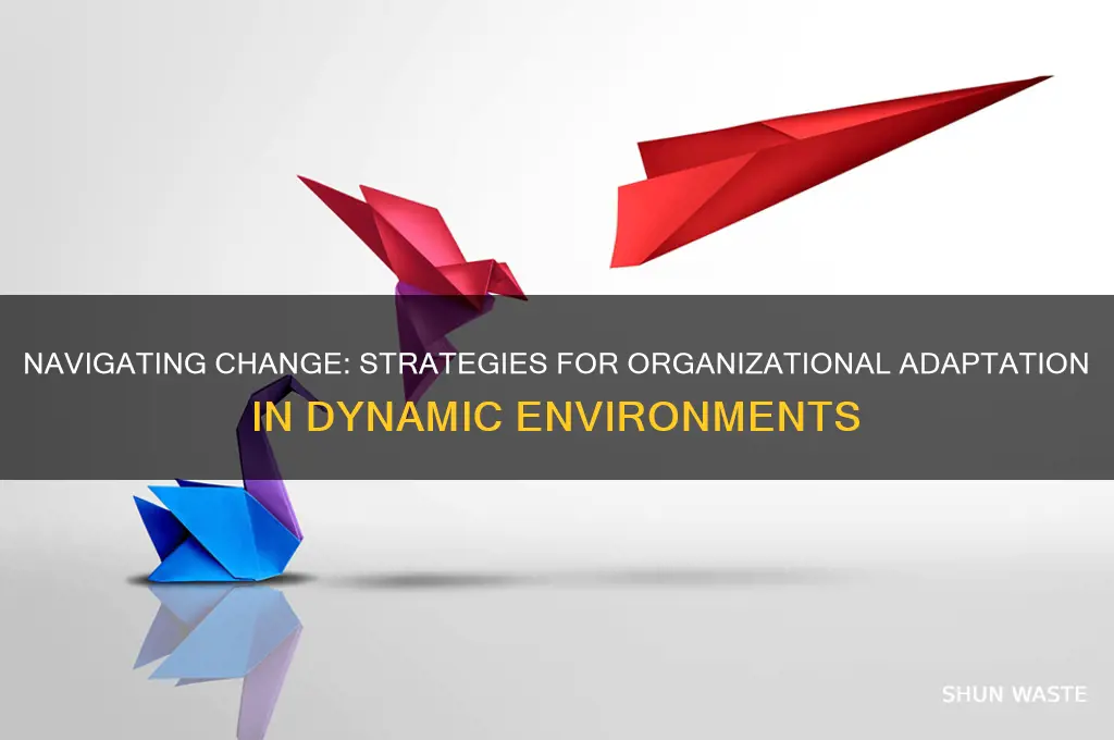 how organizations adapt to changing environment