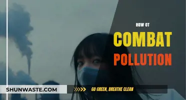 Fighting Pollution: Strategies for a Cleaner World