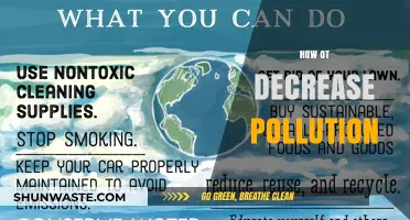 Reducing Pollution: Strategies for a Greener Tomorrow