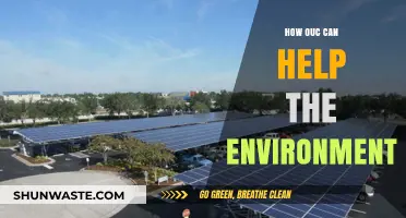 OUC's Green Impact: Sustainable Solutions for a Healthier Environment