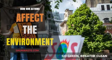 Our Daily Choices: Shaping the Environment's Future, One Action at a Time