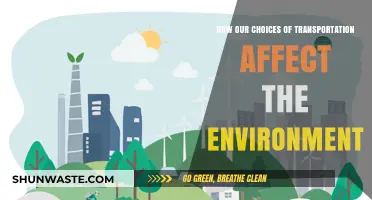 Sustainable Commutes: How Transportation Choices Impact Our Environment