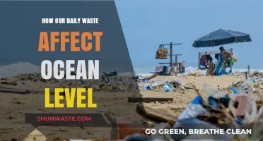 Daily Waste's Impact: Rising Ocean Levels and Environmental Consequences