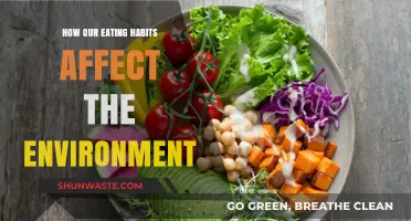 Sustainable Plates: How Our Food Choices Shape the Planet's Future