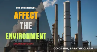 How Our Emissions Are Transforming the Environment: A Critical Look