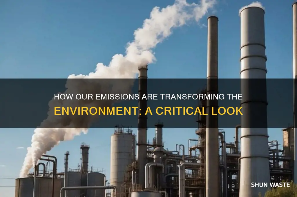 how our emissions affect the environment
