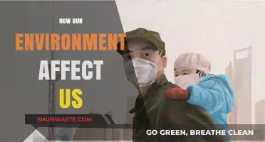 How Our Surroundings Shape Our Lives: The Impact of Environment