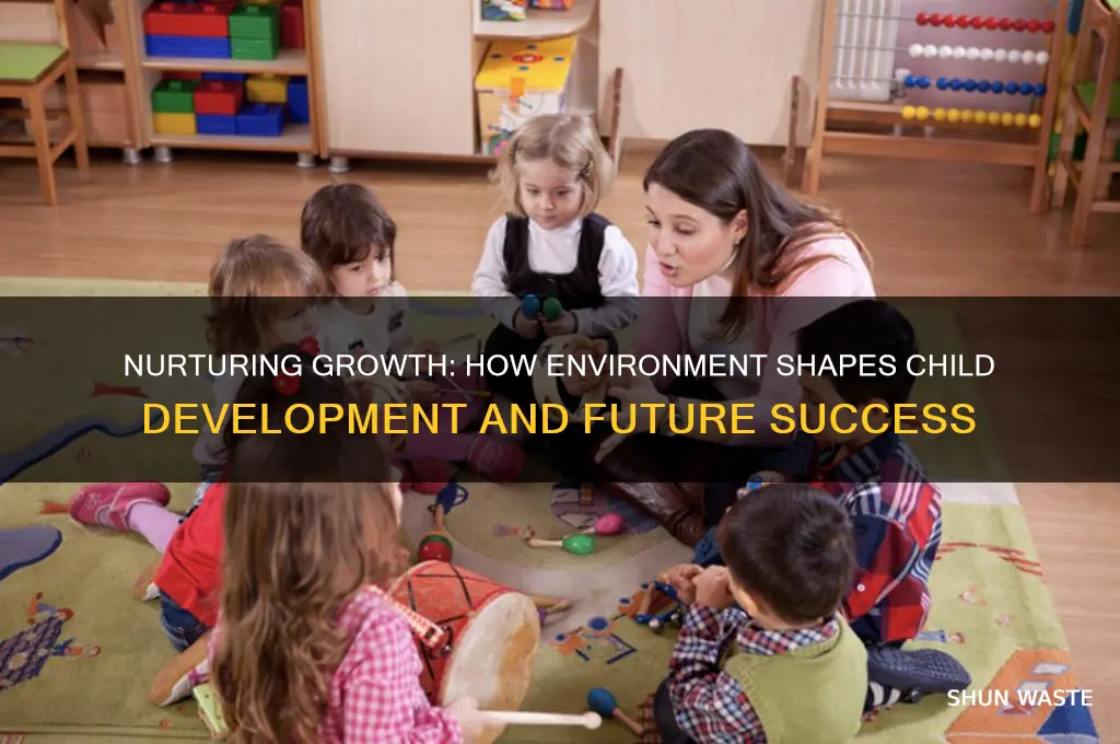 how our environment affects child development