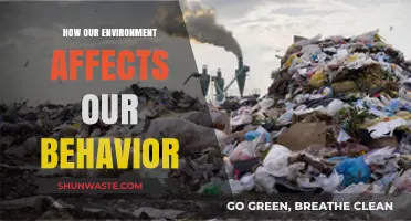 Surroundings Shape Us: Unveiling Environment's Impact on Human Behavior
