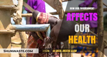 Environment's Impact: Unveiling How Surroundings Shape Our Health and Well-being
