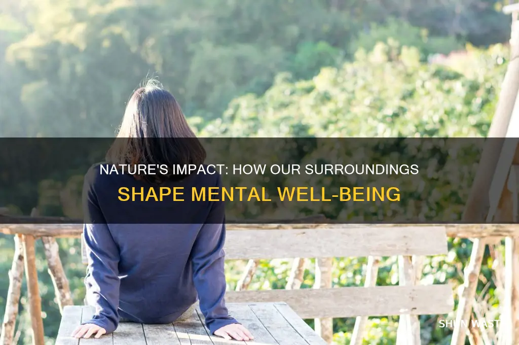 how our environment affects our mental health