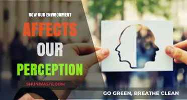 Shaping Perspectives: The Powerful Impact of Environment on Perception