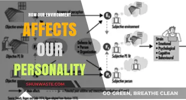 Environment's Impact: Shaping Personalities Through Surroundings and Experiences