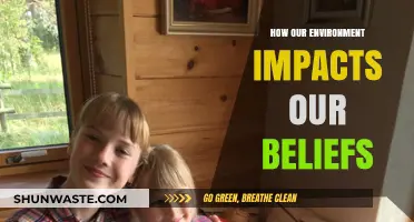 Shaping Perspectives: The Powerful Influence of Environment on Our Beliefs