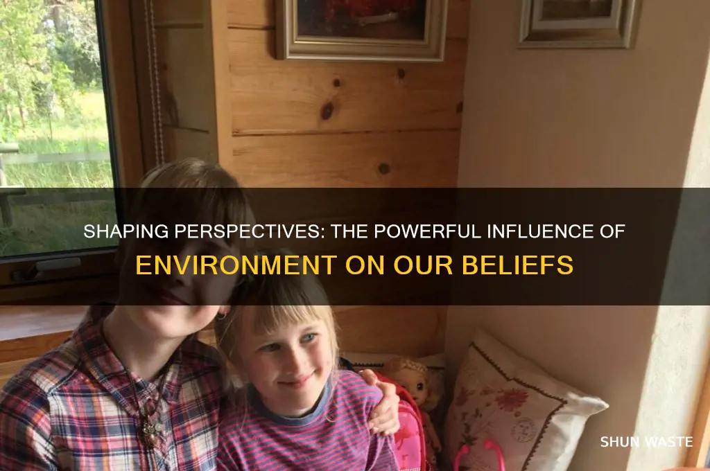 how our environment impacts our beliefs