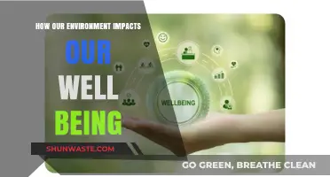 Surroundings Shape Us: Exploring Environment's Impact on Well-Being and Health